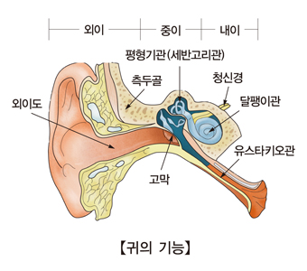 노인성 난청