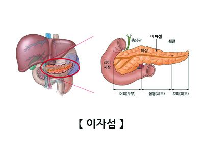 이자섬